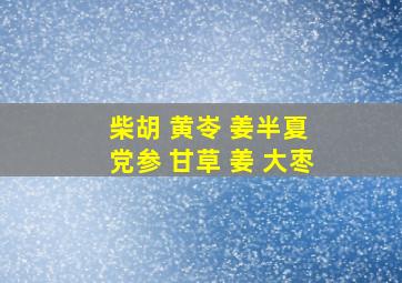 柴胡 黄岺 姜半夏 党参 甘草 姜 大枣